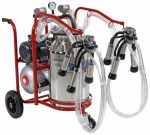 2ζώα με τουμπο